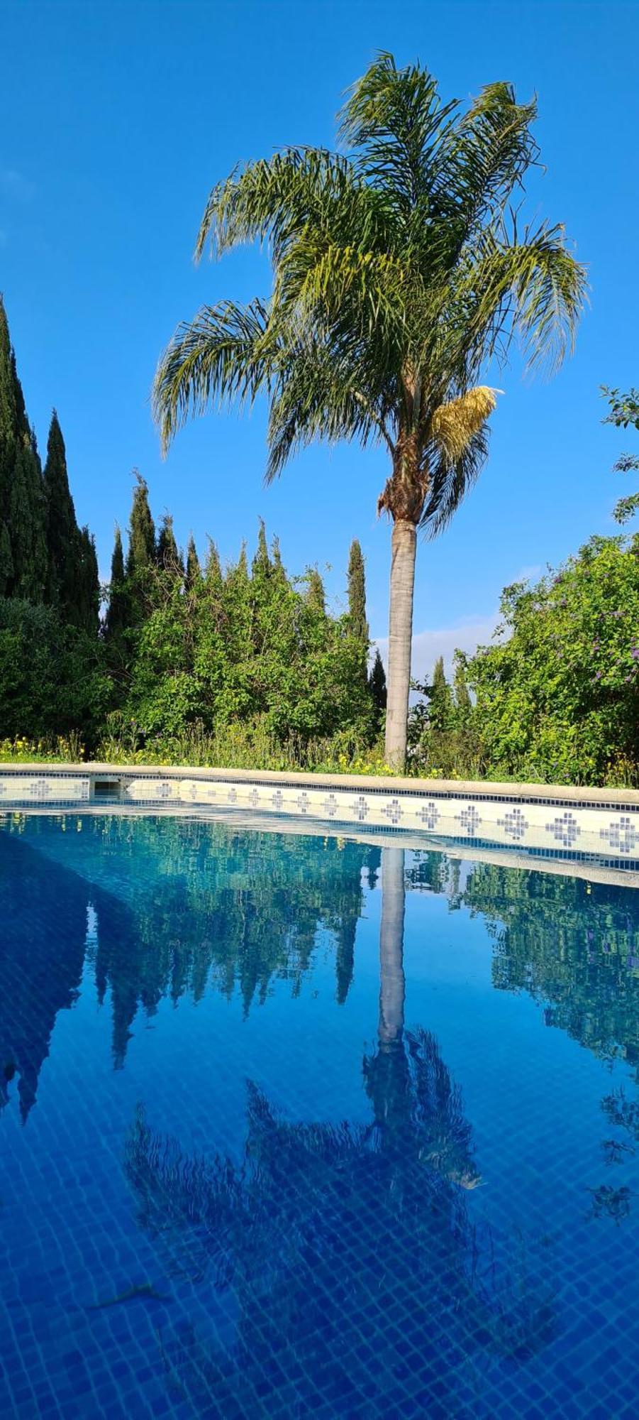 La Alqueria Villa San Martín Exteriör bild