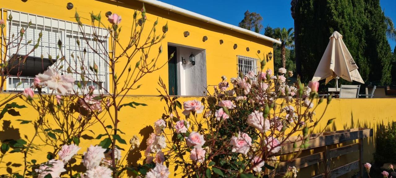 La Alqueria Villa San Martín Exteriör bild