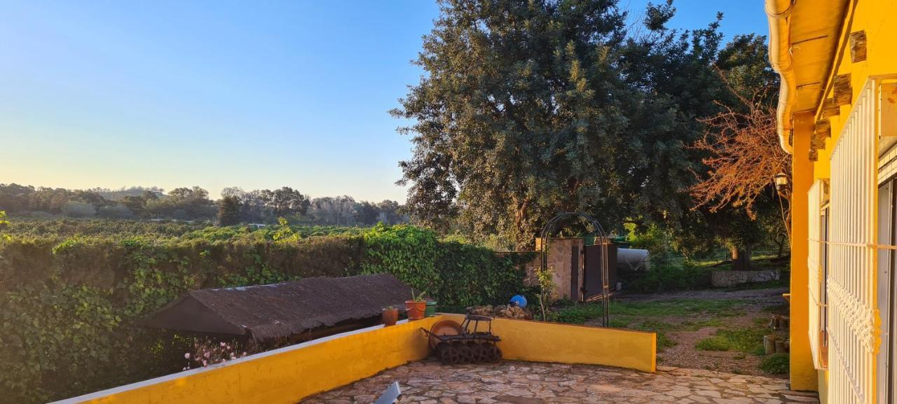 La Alqueria Villa San Martín Exteriör bild