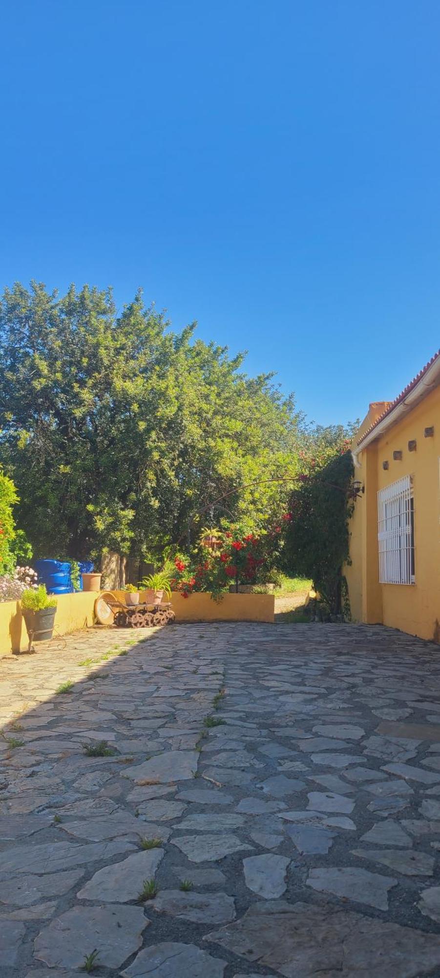 La Alqueria Villa San Martín Exteriör bild